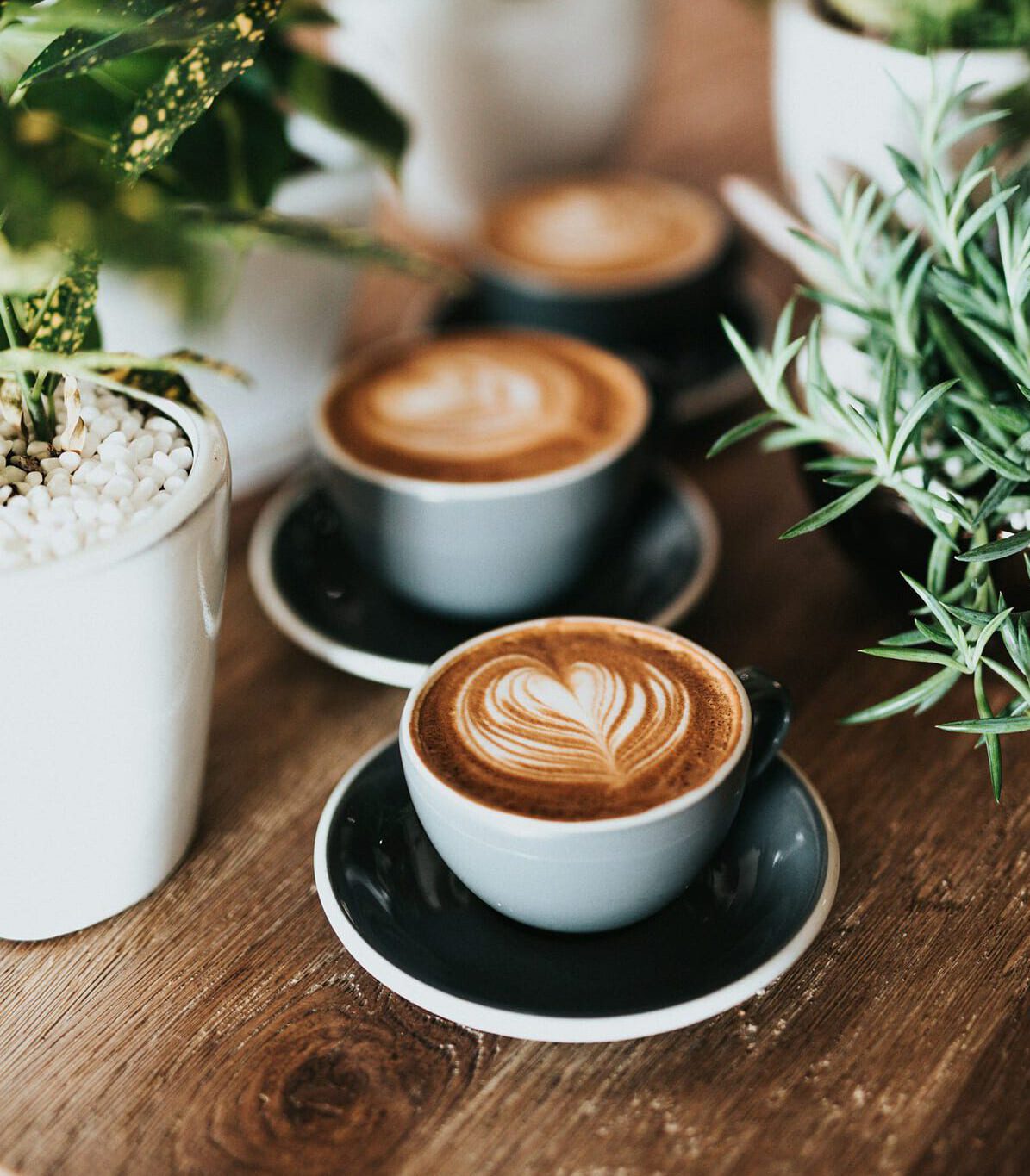 Café con arte latte y planta